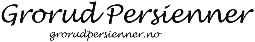 Grorud Persienner logo