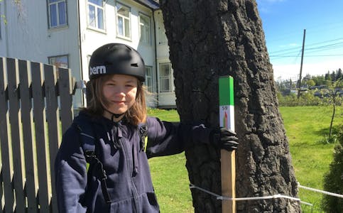 UT PÅ TUR: Johannes Thor Sandal (14) i full gang med å registrere stolper. Her ved Ellingsrud gård og ridesenter. Foto: Fotos: Privat