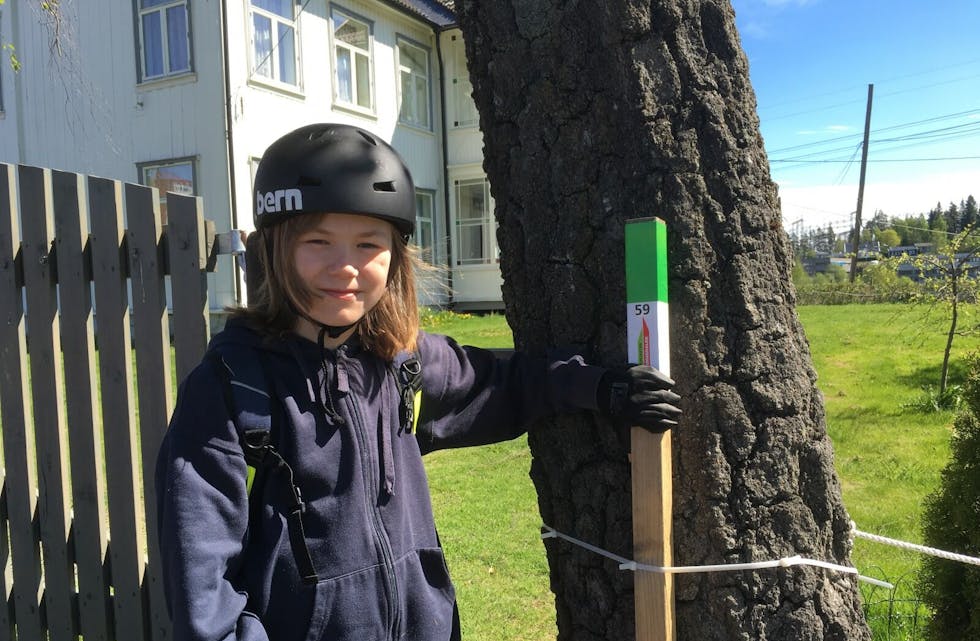 UT PÅ TUR: Johannes Thor Sandal (14) i full gang med å registrere stolper. Her ved Ellingsrud gård og ridesenter. Foto: Fotos: Privat