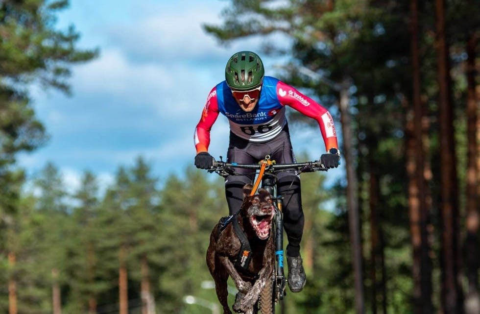 MEDALJEGROSSIST: VIktor Sinding-Larsen kom hjem fra mesterskapet med både NM-gull og tre sølv. Foto: Audun Morgestad