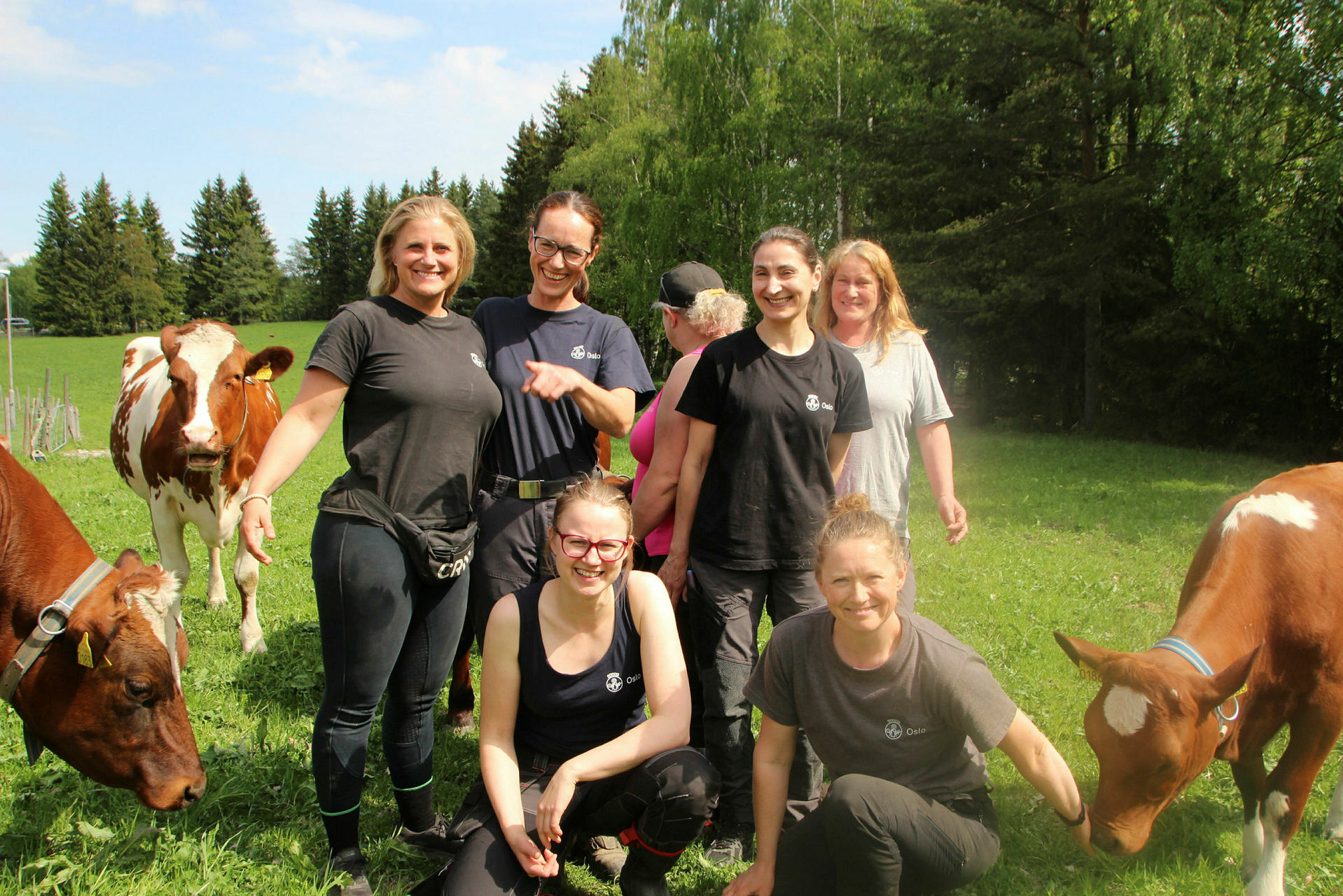 UTE PÅ BEITE: Det var svært spennende å få besøk av gårdsgjengen inne på beitet. Foto: Mina Wathne