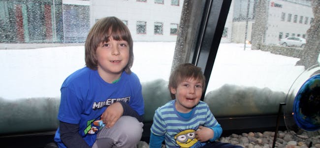 FANT PÅSKEEGG: Adrian (6) og lillebror Victor (4) synes det er morsomt å lete etter påskeegg. Nå skal de kose seg med innholdet. Foto: