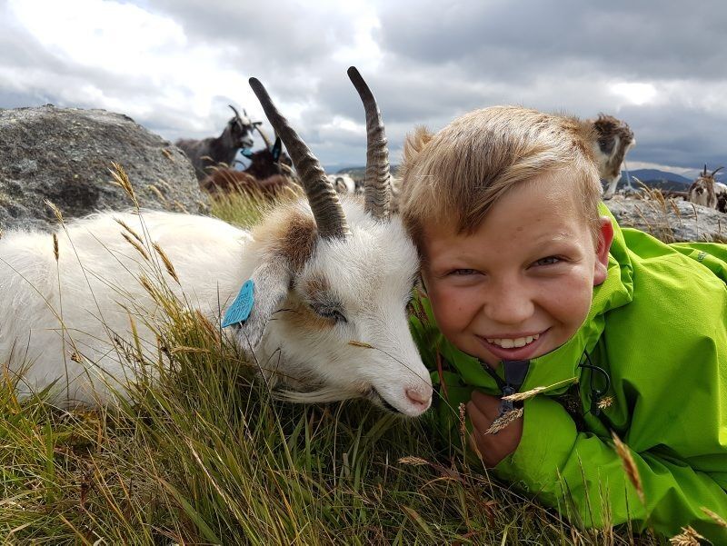 VENNER: Fredrik koser seg med sin nye bestevenn, geitekillingen. Bestemor Bjørg Flo på Høybråten ble ukesvinner med dette blinkskuddet. Foto: