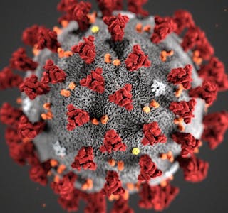 Koronavirus. Foto: