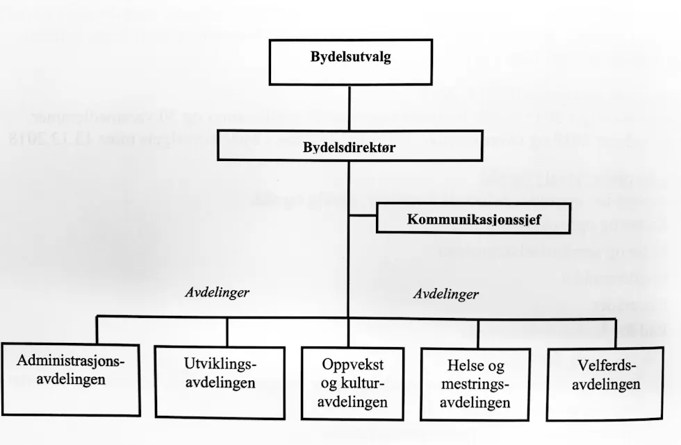 NY ORGANISASJON: Etter omorganiseringen er Bydel Bjerke organisert slik som du ser på bildet. Foto: