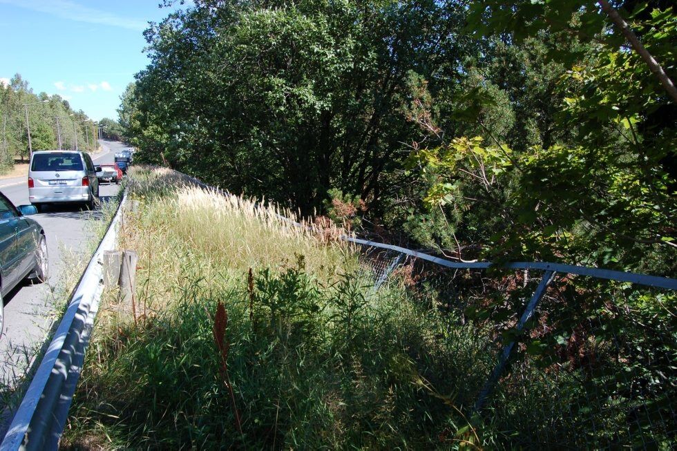 ØDELAGT: Store deler av gjerdet langs Snellingens tomt mot Romsåsveien er bøyd ned av snømassene og må repareres. Foto: