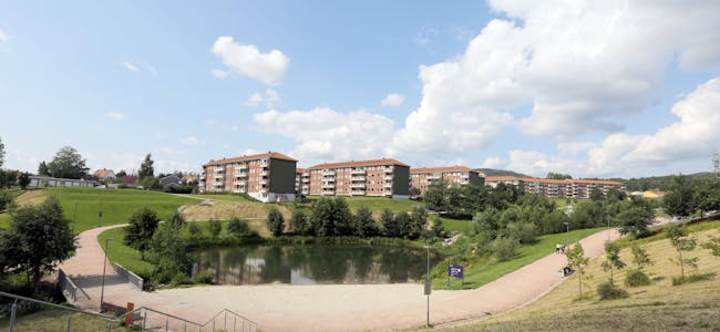 Dammen i Bjerkedalen park. Foto:
