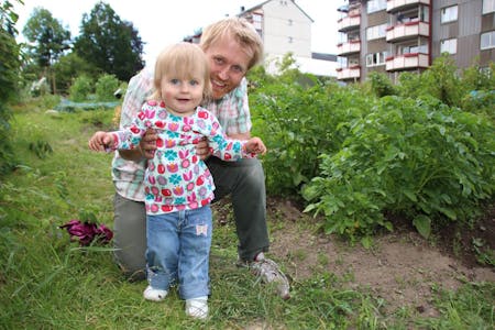 KOS MED PARSELLHAGE: Ole Våge og hans datter Andrea (1) trives godt i parsellhagen på Årvoll gård. Foto: