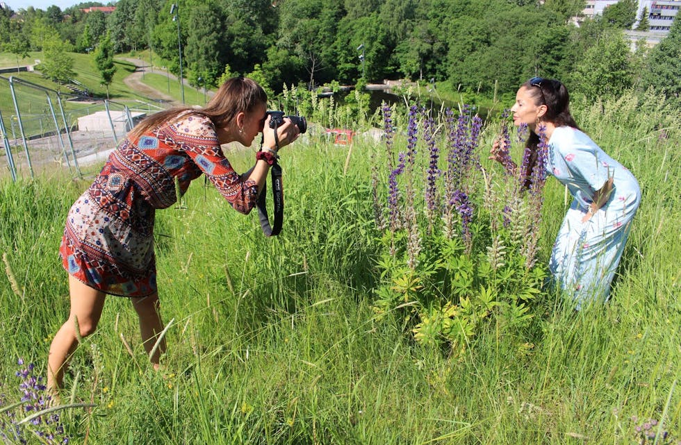 SOMMER I BLOMSTERENGA: Stemning, følelser og øyeblikk er alle ting fotojuryen håper å se og kjenne på i løpet av sommeren. Her ser man journalist Martine Myhre knipse bilder av banksjef Monica Belinchon – og resultatet. Foto: