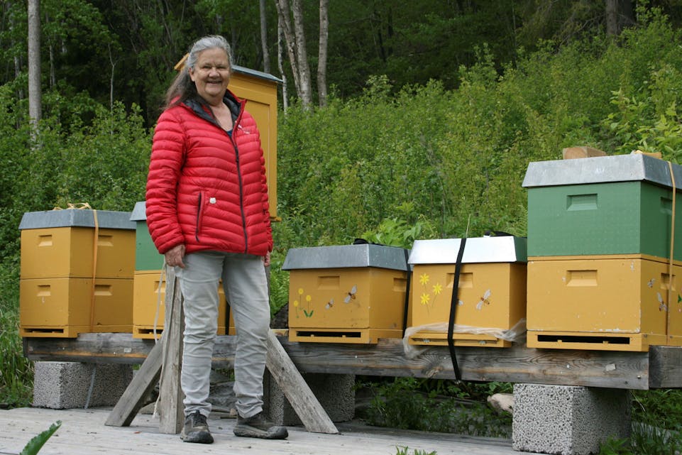 ET BIE-LIV: Det er ikke bare frukt og grønt hos Enga. Anne Grete Orlien kan også glede seg til helt egen honning, fra landbrukets egne bier. Foto: Caroline Hammer