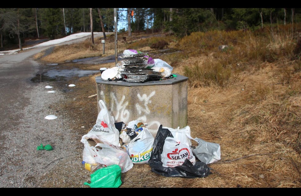 FLERE SOM HAR KOST SEG: Denne haugen med engangsgriller og søppelposer viser at det er flere som tatt turen til Steinbruvann for å slikke sol i helgen. Foto: