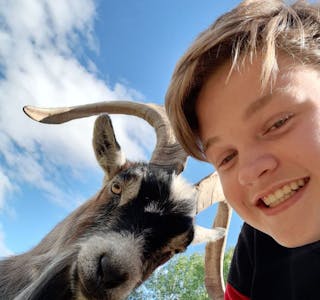 GEITE-SELFIE TIL TOPPS: Morten Myhre (13) tok denne selfien i Tangen dyrepark. Et blinkskudd moren, Anita Myhre, ønsket å dele med flere. Foto: