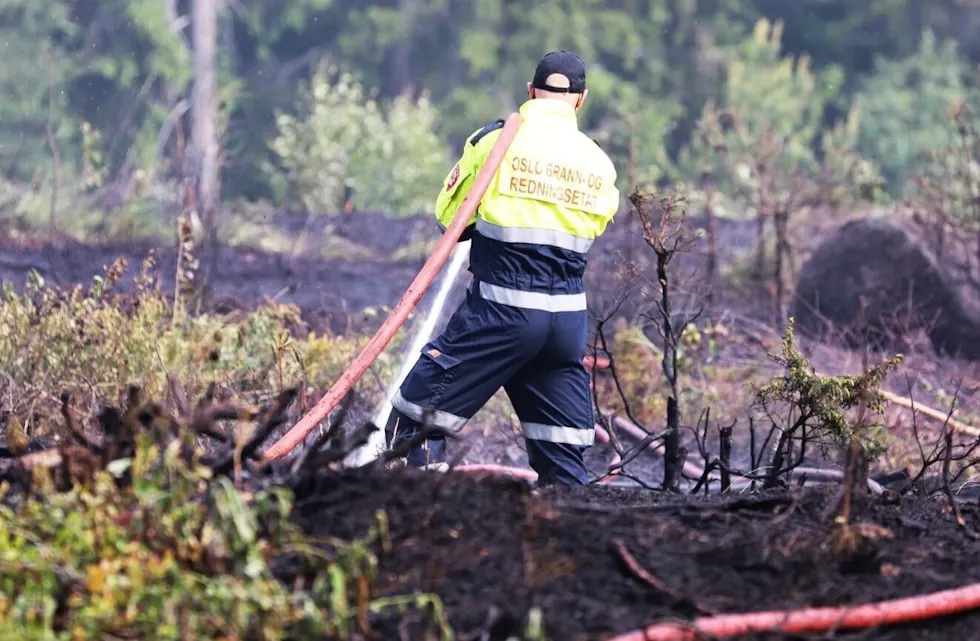Skogbrann Romsås i juni 2021. (Foto: Hege Aas/OBRE) Foto: