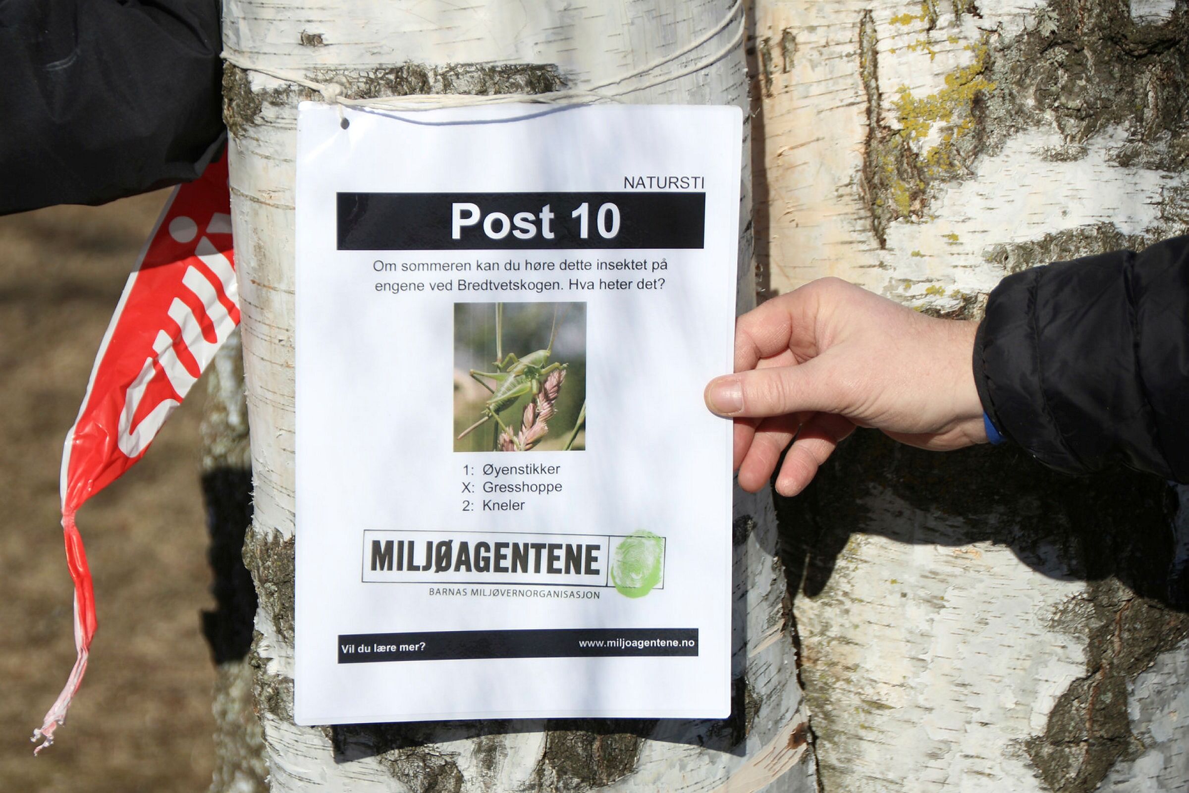 NATURSTI: Siste post - som vi naturligvis ikke avslører hvor står. Foto: Ørjan Brage