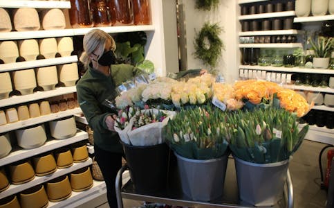 FÅR NYTT HJEM: Malin Thorsen Berg på Mester Grønn på Stovner senter gjør klart blomstene som nå skal pynte opp på to av sykehjemmene i området. Foto: