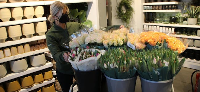 FÅR NYTT HJEM: Malin Thorsen Berg på Mester Grønn på Stovner senter gjør klart blomstene som nå skal pynte opp på to av sykehjemmene i området. Foto: