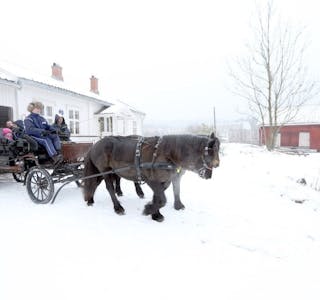 P TUR: Ikke et julemarked p Bnkall grd uten en tur med hest og vogn rundt p grdens omrde. Foto: