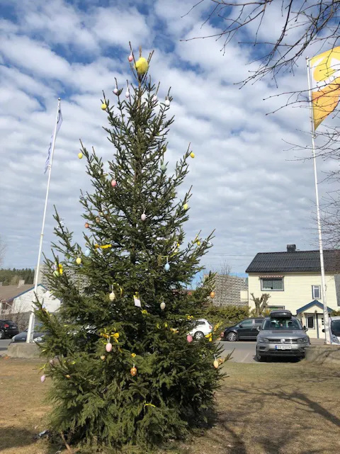 DU GRØNNE GLITRENDE... PÅSKETRE? Og høyt i toppen, den gule kylling. Foto: