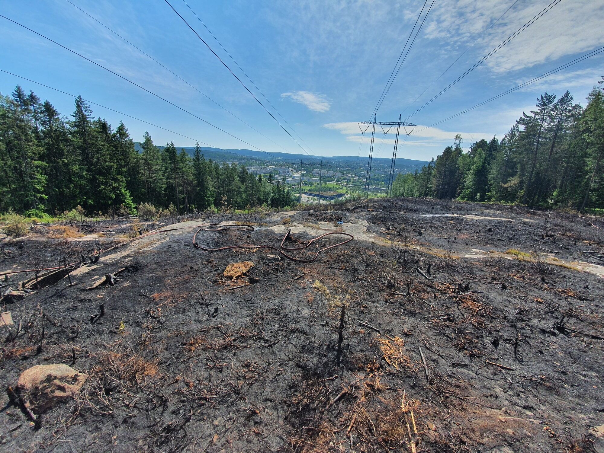 TOTALFORBUD: Oslo kommune forbyr all bruk av ild i skog, utmark og innmark, inkludert faste tilrettelagte bålplasser, parker og grøntområder fra 15. juni 2023.