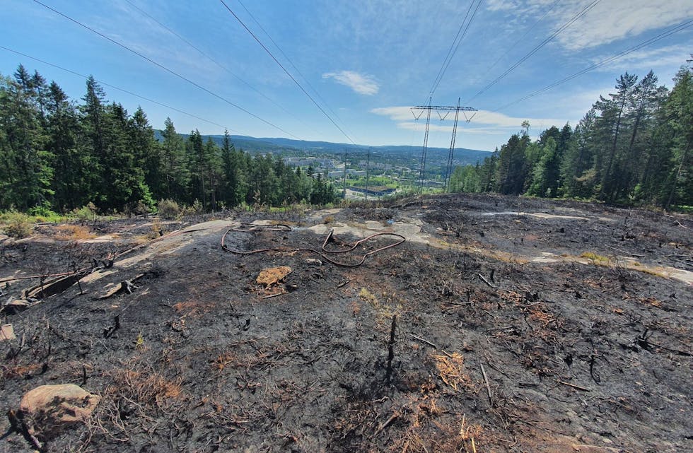TOTALFORBUD: Oslo kommune forbyr all bruk av ild i skog, utmark og innmark, inkludert faste tilrettelagte bålplasser, parker og grøntområder fra 15. juni 2023.