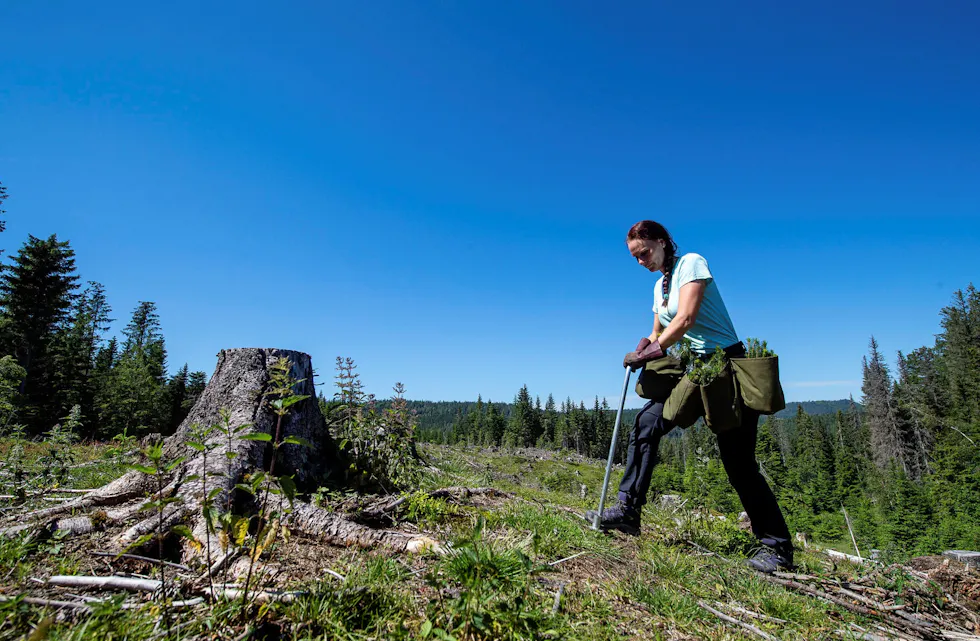 Foto: Landbruksdirektoratet