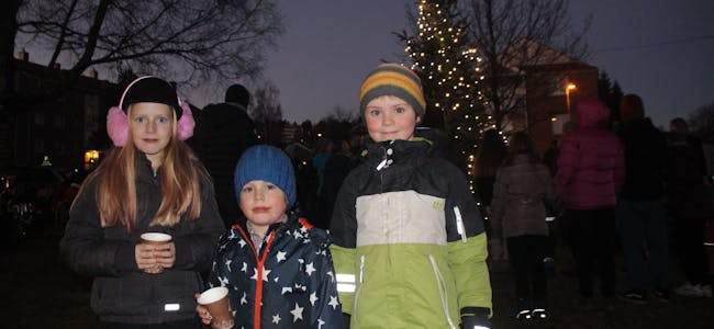 KOSER SEG: Mia (8), Liam (4) og Kasper (7) varmet seg med gløgg mens de så på resten av beboerne i borettslagene danse rundt treet. Foto: