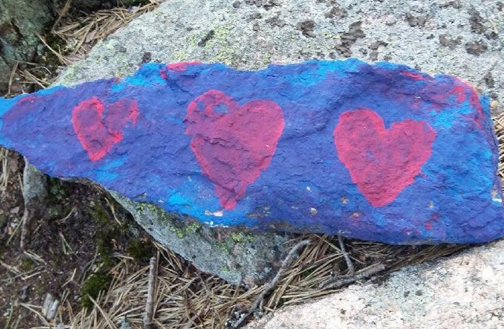 HYGGELIG KVELDSTUR: Solveig Vesterheim kunne ikke annet enn smile da hun gikk en kveldsrunde i Lillomarka her om dagen. Foto: