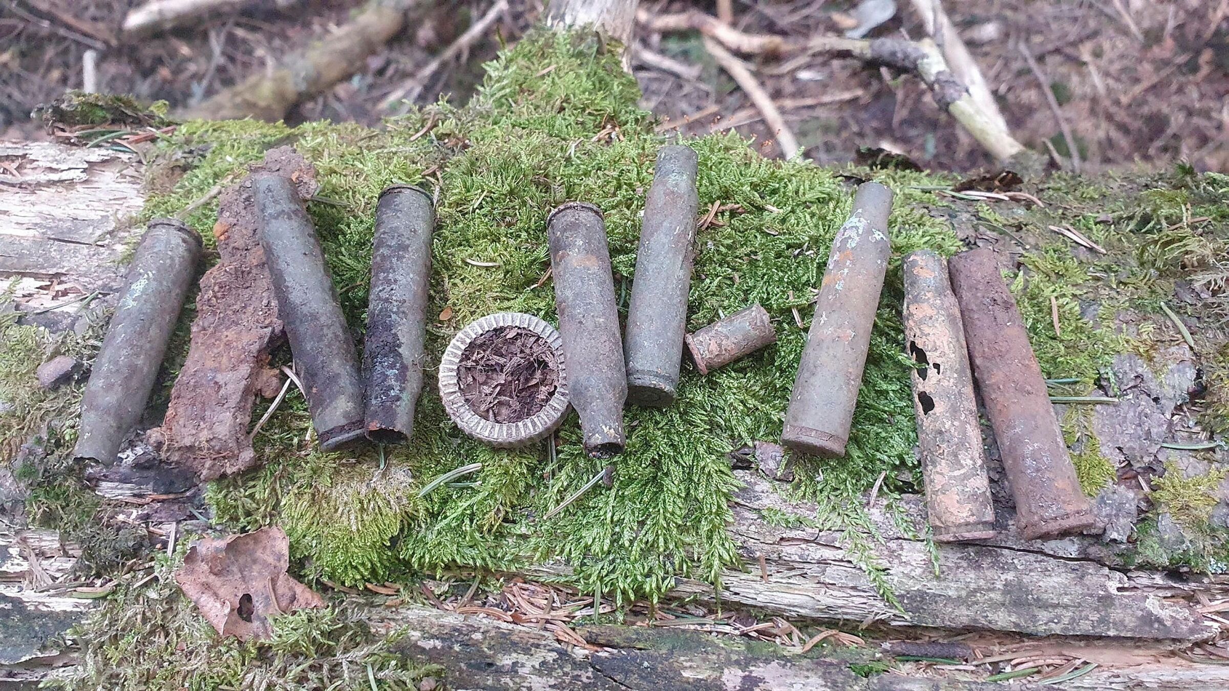 Patronhylser fra 40- og 50-tallet, sannsynligvis brukt i forbindelse med jakt, var en stor del av fangsten første påskedag. Foto: