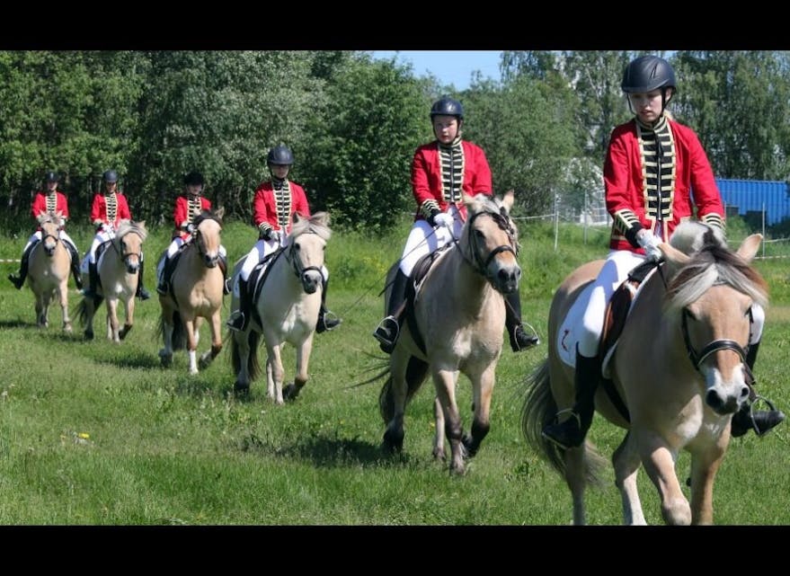 FIRBEINT PRESISJON: Historisk militær hestekvadrilje. Perfekt og presis eleganse fra hest og ryttere. Foto:
