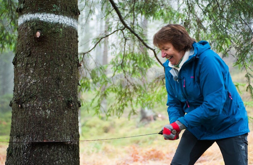 FULL KONTROLL: Ordfører Marianne Borgen (SV) ser ut til å ha erfaring med å sage ned trær. Dette treet skal sendes til London for å skape julestemning. (Foto: Oslo kommune/Sturlason) Foto: