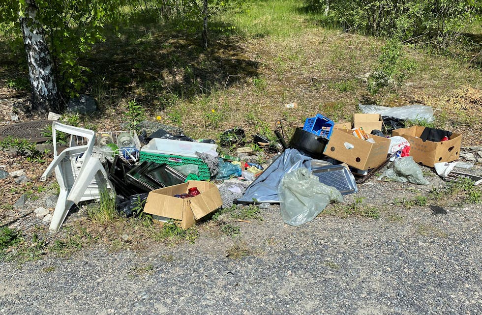 IKKE TRIVELIG: Å kaste søppel i naturen gjør turen langt fra hyggelig for alle andre. Foto: Privat