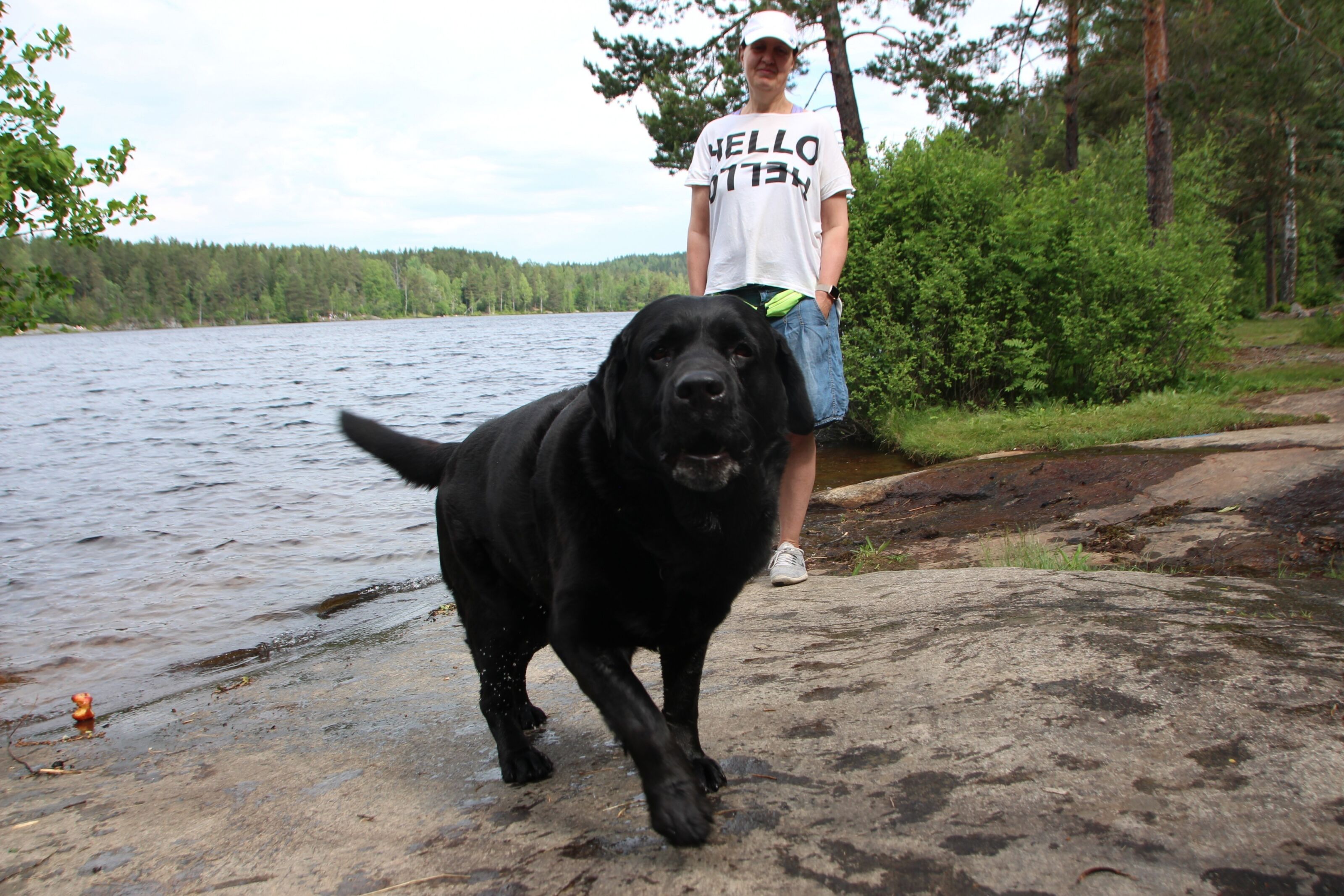 FAST MORGENRUNDE: Dennis tar med eier Liv Knutsen på tur rundt Steinbruvann hver morgen. God tid tar han seg også... Foto: