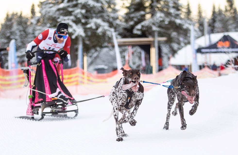 I FARTA: Viktor Sinding-Larsen og hundene hans i aksjon under VM. Foto: Cilje Helene Abelsen Moe