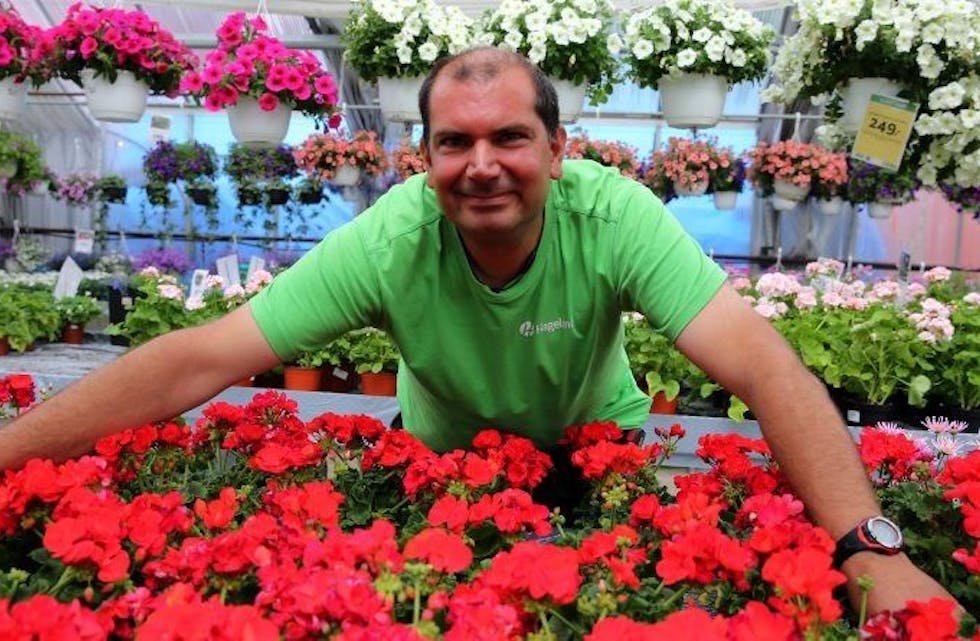 BLOMSTRENDE GREKER:  For 12 år siden fikk Pantelis Toumazos sommerjobb ved den gang Nordtvet gartneri - og siden har han vært der. Alltid like blid, hyggelig og serviceminded. Han angrer ikke en dag på at det etter hvert ble et liv med blomster, frø og planter. Foto: