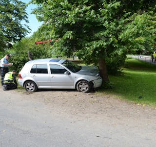 ENDTE HER: Den førerløse bilen endte ferden inn i dette treet i Grorud barnehage.  Foto: