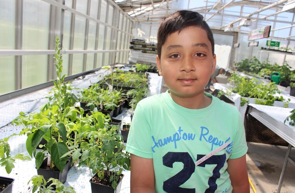 GRØNNE FINGRE: Ali Messar (10) drar til drivhuset på Trosterud hver eneste dag etter skoletid. Den siste måneden har han dyrket fram alle plantene på benken ved siden av ham. Foto: