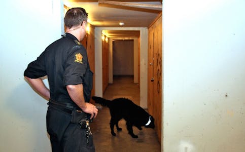 AKSJONERTE: Her jobber hundepatruljen med å gjennomsøke boder tilknyttet leiligheter der det har blitt gjort narkotikabeslag. Foto: