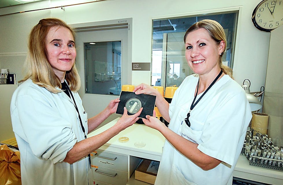 VIKTIG ARBEID: Seksjonsleder Anne Kristin Borling og bioingeniør Siri Haug Hänsgen med bakterieprøver. Foto: