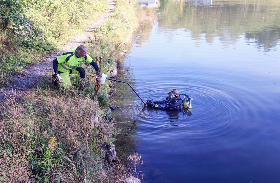 GRORUDDAMEN: Dykkere fra Buskerud Dykkeservice var hyret inn for å rydde i Groruddammen. Det ble ryddet i dammen i fjor også, og det viste seg onsdag da dykkerne denne gangen hentet opp langt mindre avfall enn i fjor. Likevel viser tall fra ryddeaksjonen at det fremdeles er mye avfall i og langs Alnaelva som må tas tak i. Foto:
