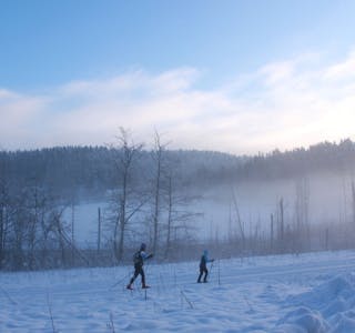 SNØDEKT LANDSKAP: Når snøen har lagt seg, er det vakkert å se på naturen. Det var også gode muligheter for å gå på ski med tydelige skispor. Foto: