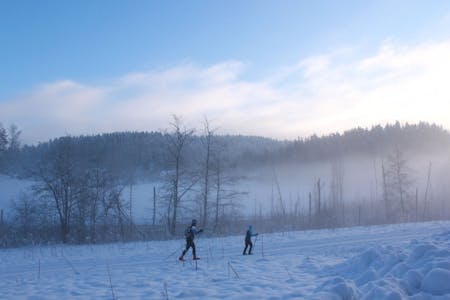 SNØDEKT LANDSKAP: Når snøen har lagt seg, er det vakkert å se på naturen. Det var også gode muligheter for å gå på ski med tydelige skispor. Foto: