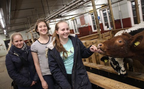 TID TIL DYR: Isabel Heggedal (16, f.v.), Anna Maria Sørensen (16) og Vilde Tunheim (16) synes det er stas å kunne bruke mye av skoletiden til å være i aktivitet og sammen med dyr. Foto: