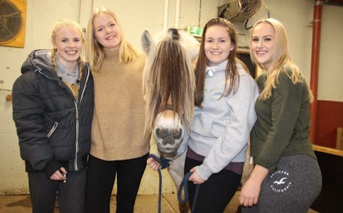 STOR INTERESSE FOR HEST: Marie Mørch Meyer (17), Mathea Gren (17), Ingunn Myhre Pedersen (17) og Julie Østgaard (17) setter stor pris på å kunne kombinerer hobby med skole. Her sammen med hesten Vinnie. Foto: