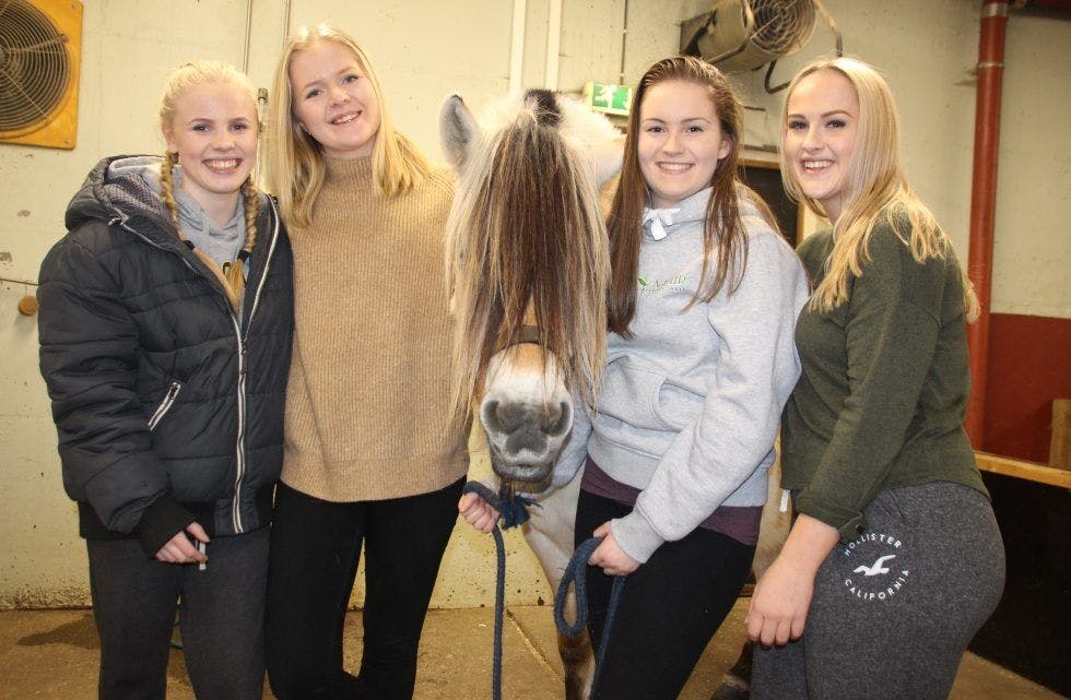 STOR INTERESSE FOR HEST: Marie Mørch Meyer (17), Mathea Gren (17), Ingunn Myhre Pedersen (17) og Julie Østgaard (17) setter stor pris på å kunne kombinerer hobby med skole. Her sammen med hesten Vinnie. Foto: