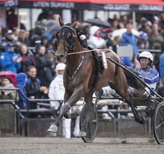 TITTELFORSVARER: Vitruvio er tittelforsvarer i OGP, og går for mer jubel i helgen. Foto: Eirik Stenhaug (Equus media)