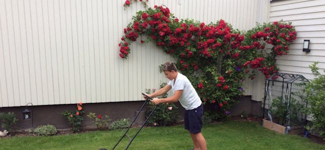 KREATIVT PÅFUNN: Bjørn Norstrøm vant denne uka med bilde av barnebarnet Marius (12) som har sin egen måte å klippe gresset på. Foto:
