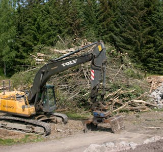 STORE MENGDER FELT: Allerede på torsdag hadde flere av trærne på tomta blitt hogget ned.