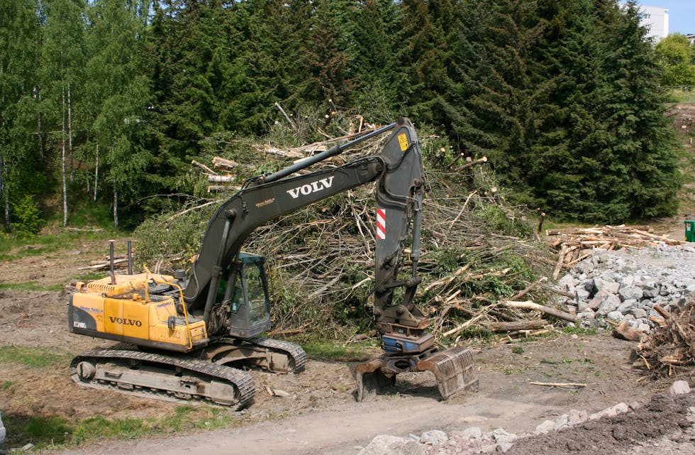 STORE MENGDER FELT: Allerede på torsdag hadde flere av trærne på tomta blitt hogget ned.