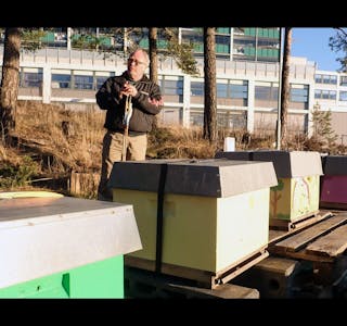 BEKYMRET: Naturvernforbundet i Groruddalen er bekymret for om biene på Romsås har våknet for tidlig. Her ved Ben Borgen. Foto: