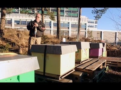 BEKYMRET: Naturvernforbundet i Groruddalen er bekymret for om biene på Romsås har våknet for tidlig. Her ved Ben Borgen. Foto: